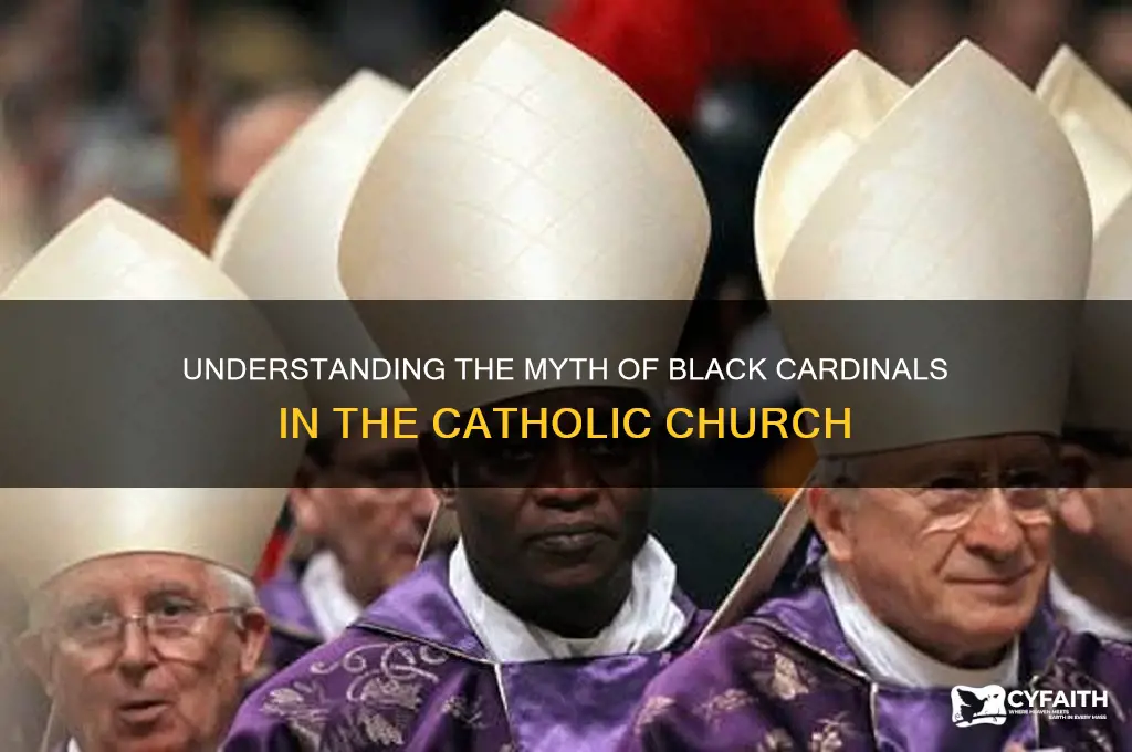 what are black cardinals catholic