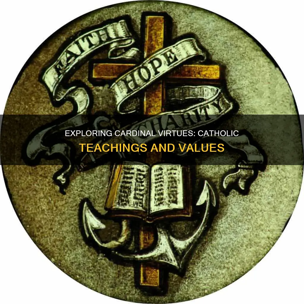 what are cardinal virtues in catholic