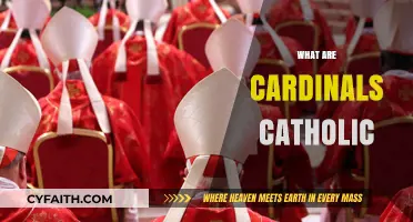 Understanding Cardinals: Their Role and Significance in the Catholic Church