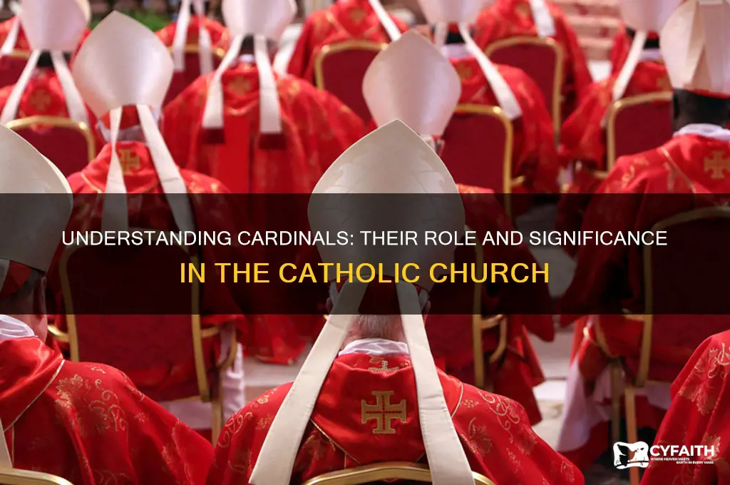 what are cardinals catholic