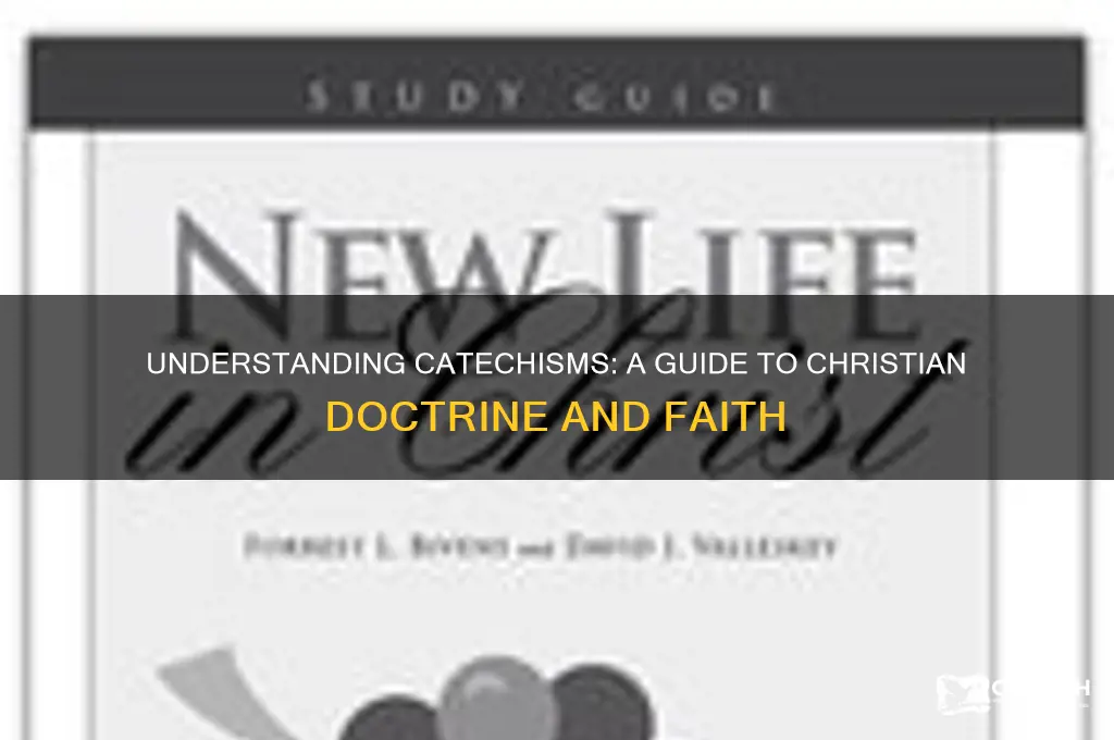what are catechisms