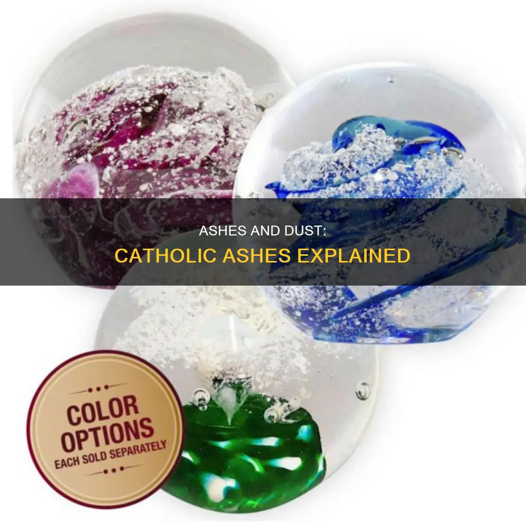 what are catholic ashes made of