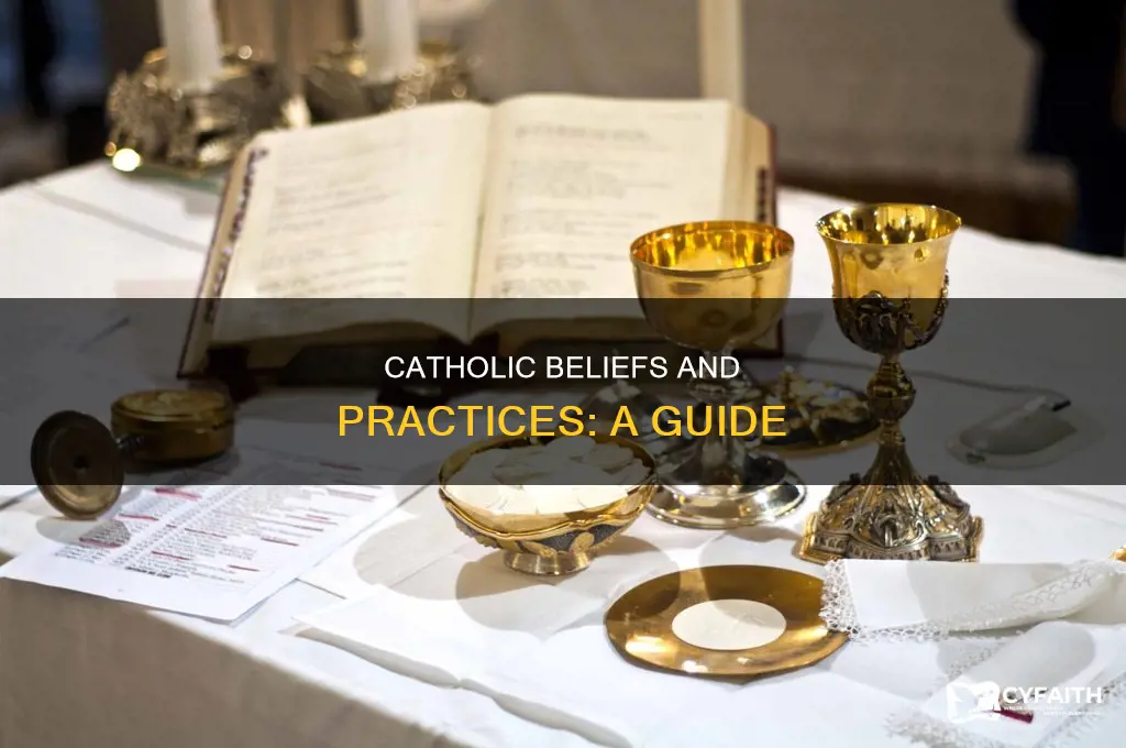 what are catholic beliefs and practices
