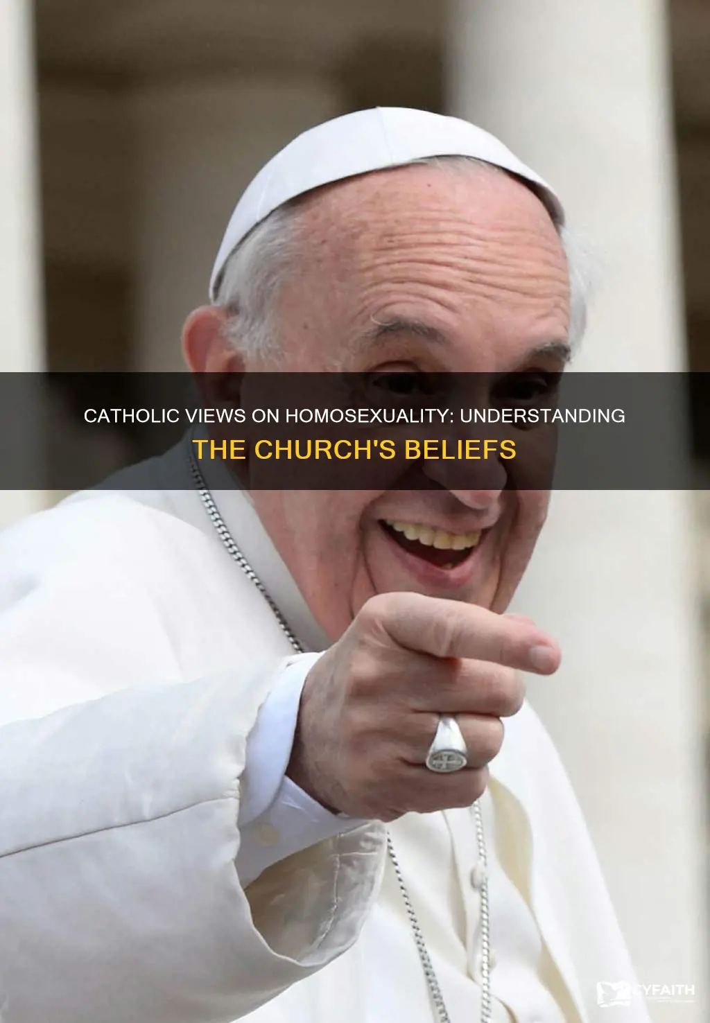 what are catholic beliefs on homosexuality