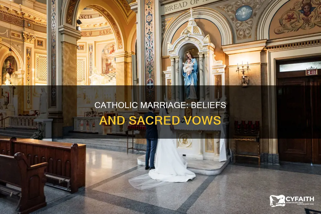 what are catholic beliefs on marriage