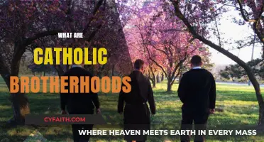 Understanding Catholic Brotherhoods: Purpose, History, and Modern Role