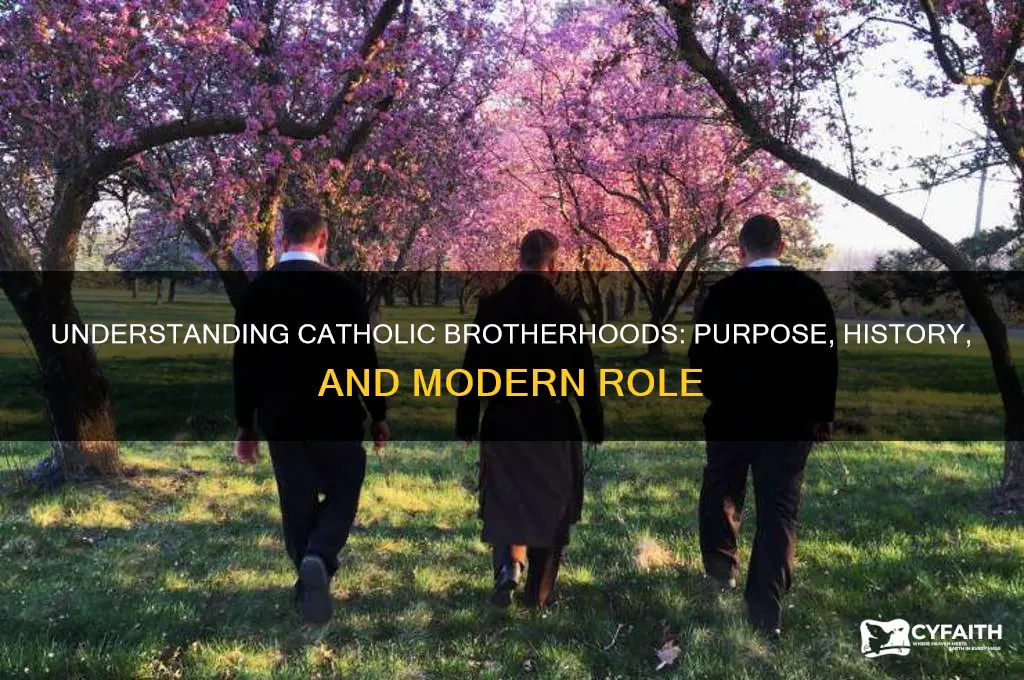what are catholic brotherhoods