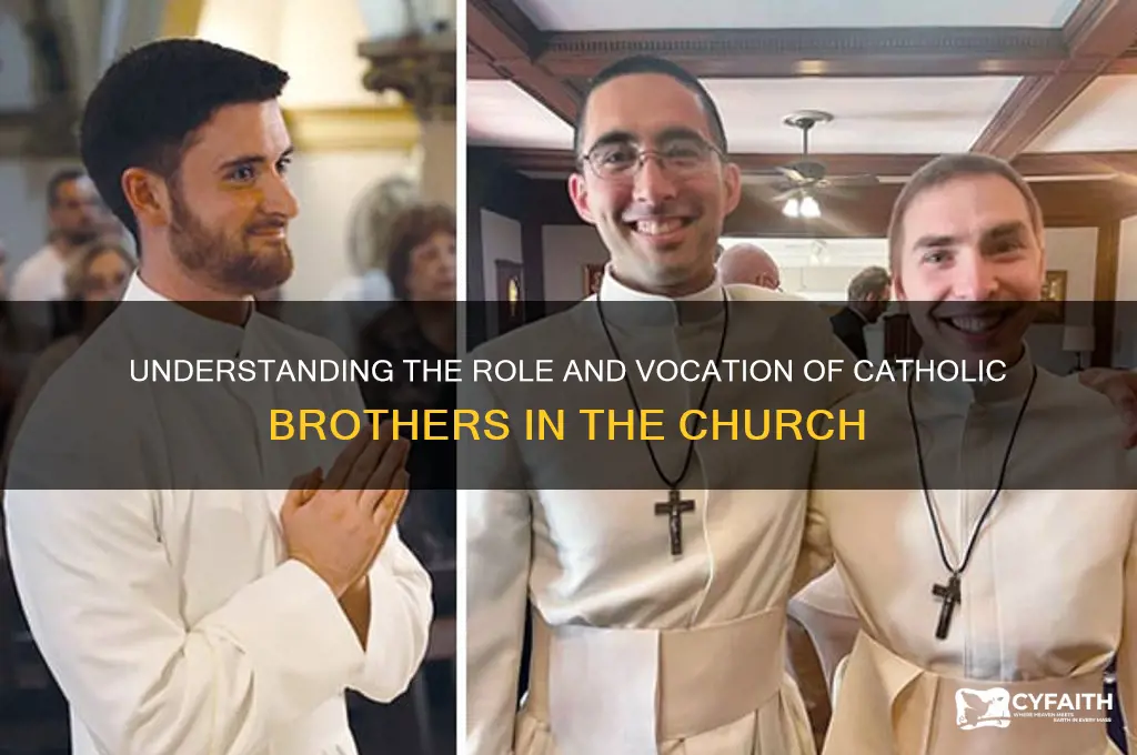 what are catholic brothers
