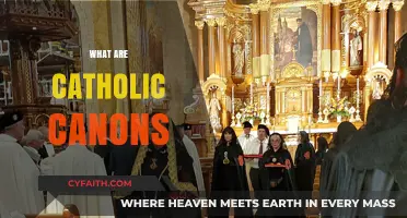 Understanding Catholic Canons: Their Role, History, and Significance in the Church