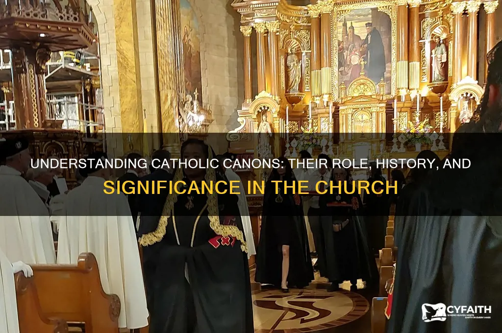 what are catholic canons