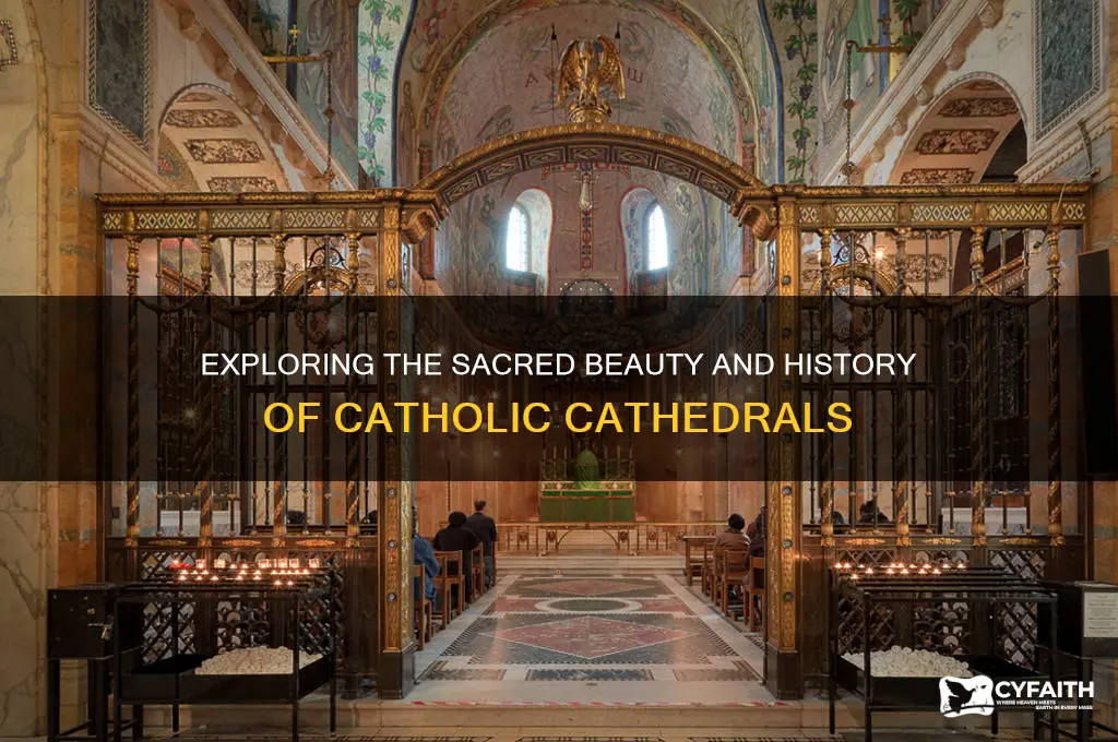 what are catholic cathedrals