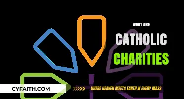 Understanding Catholic Charities: Mission, Services, and Community Impact