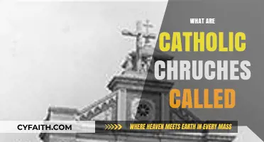 Understanding Catholic Church Names: A Guide to Their Unique Titles