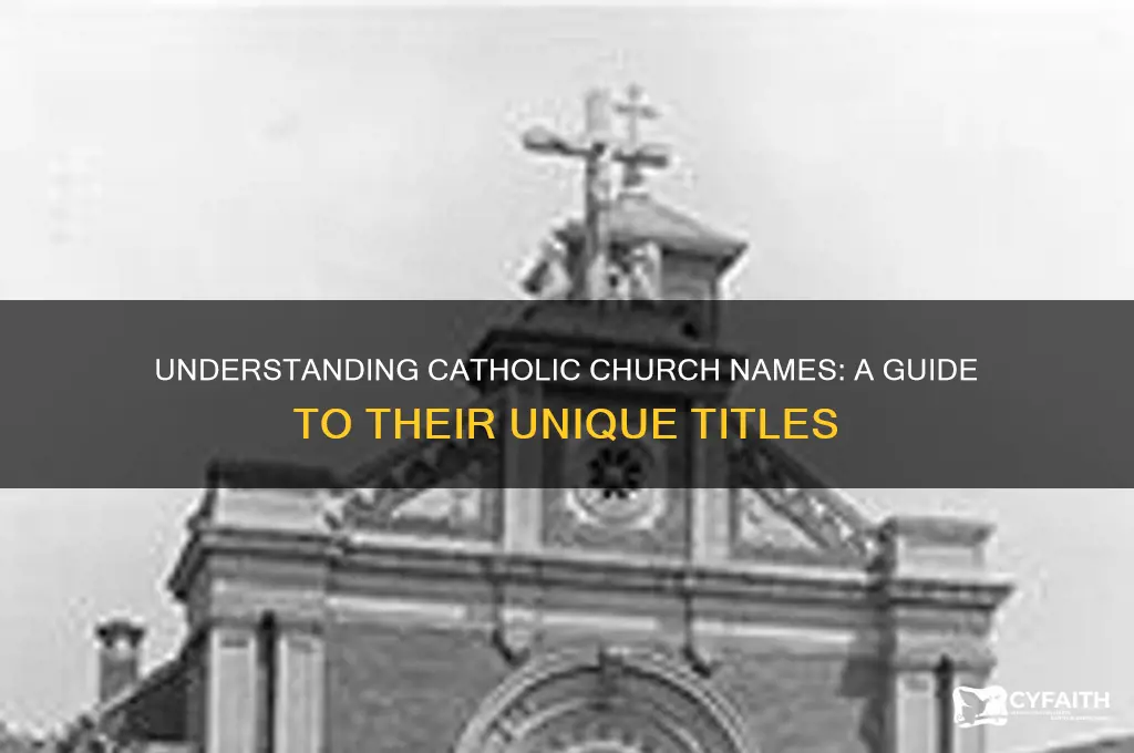 what are catholic chruches called