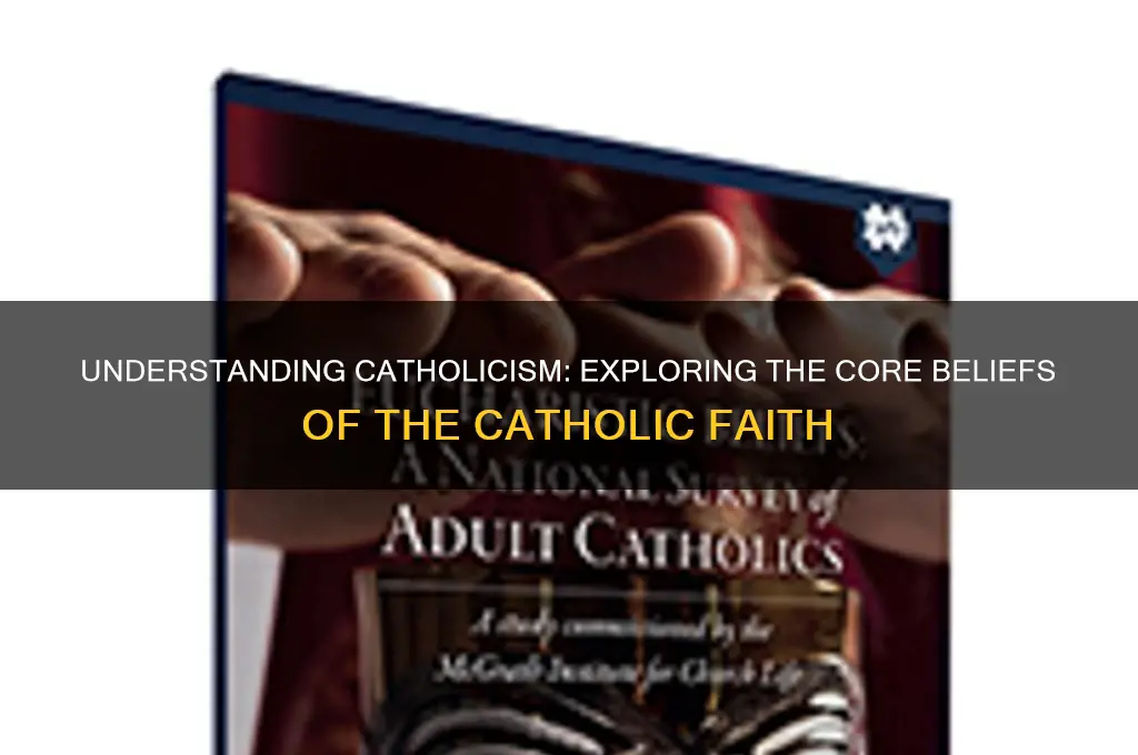 what are catholic core beliefs