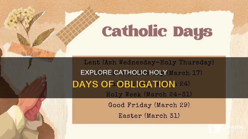 what are catholic days of obligation