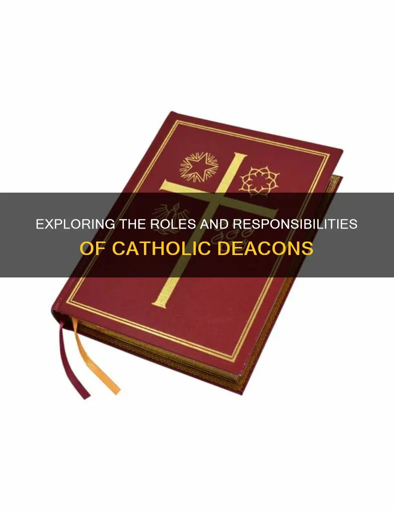 what are catholic deacons allowed to do