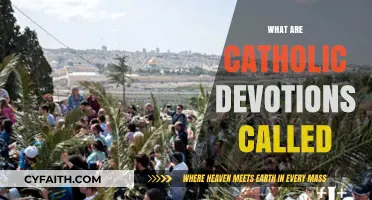 Understanding the Names and Practices of Catholic Devotions