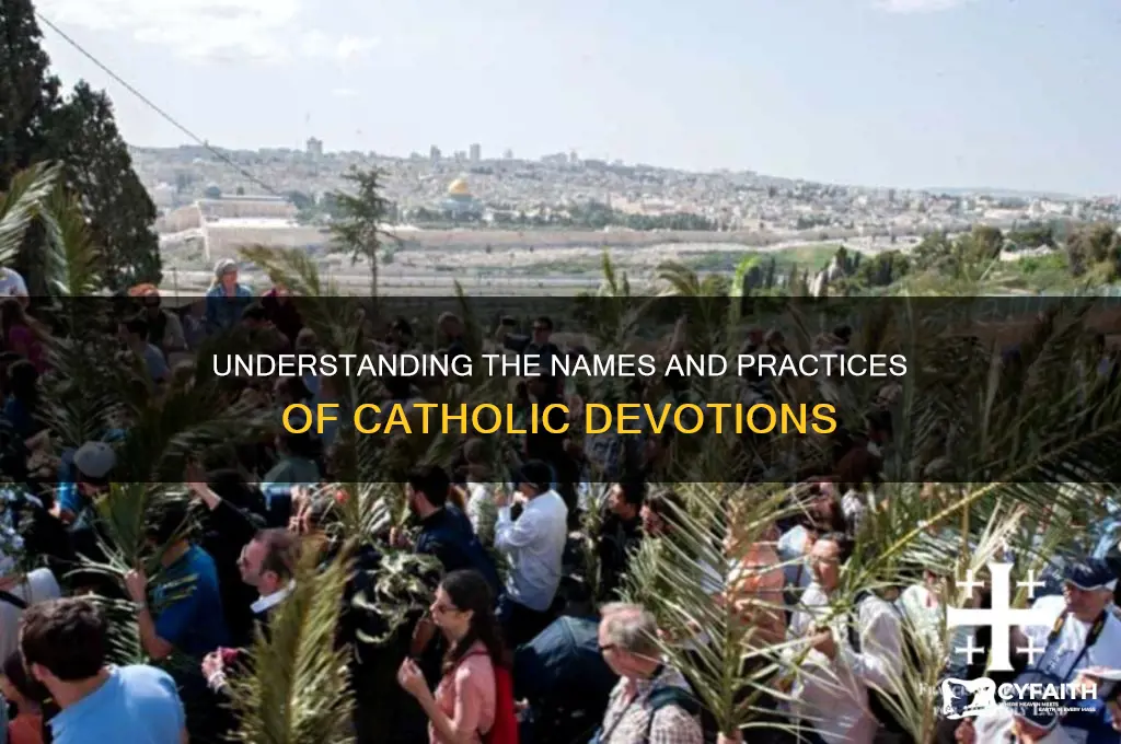 what are catholic devotions called