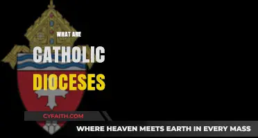 Understanding Catholic Dioceses: Structure, Role, and Importance in the Church