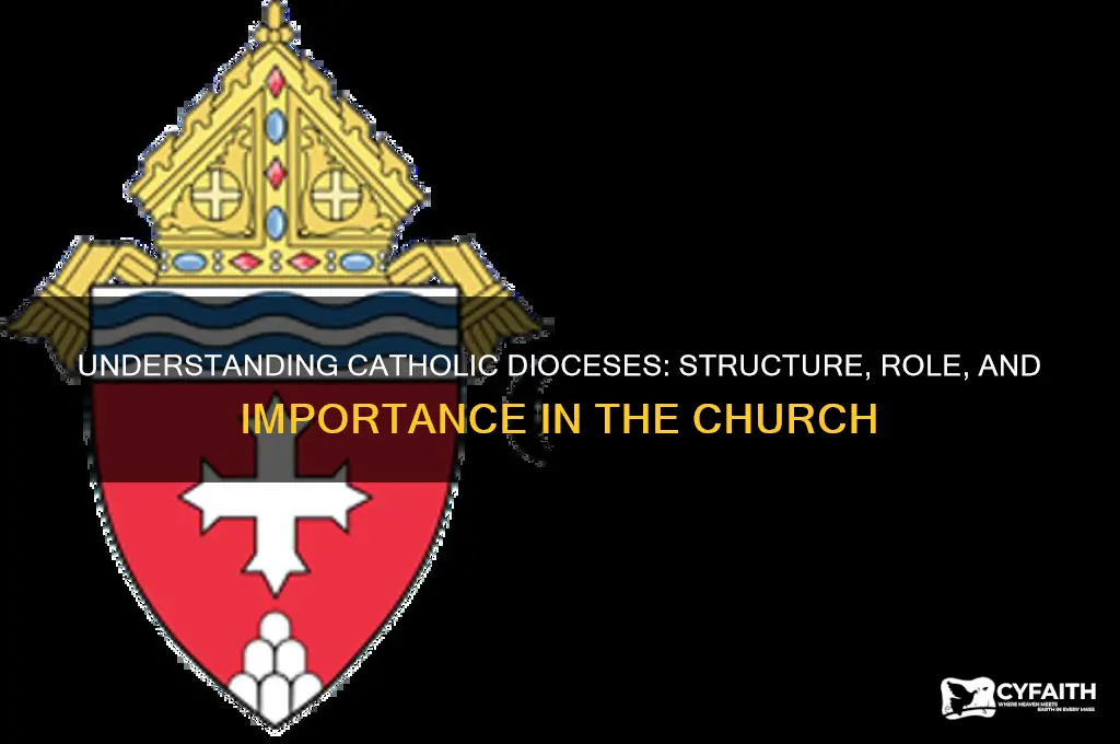 what are catholic dioceses