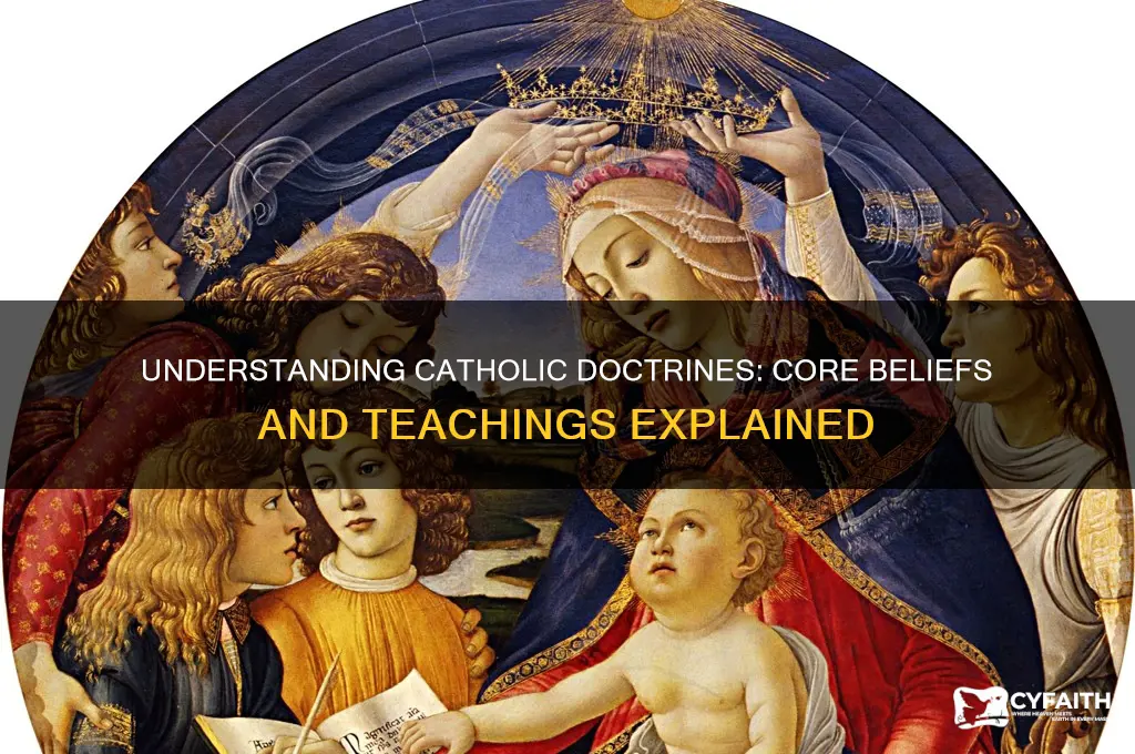 what are catholic doctrines