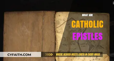 Understanding the Catholic Epistles: Purpose, Authors, and Significance