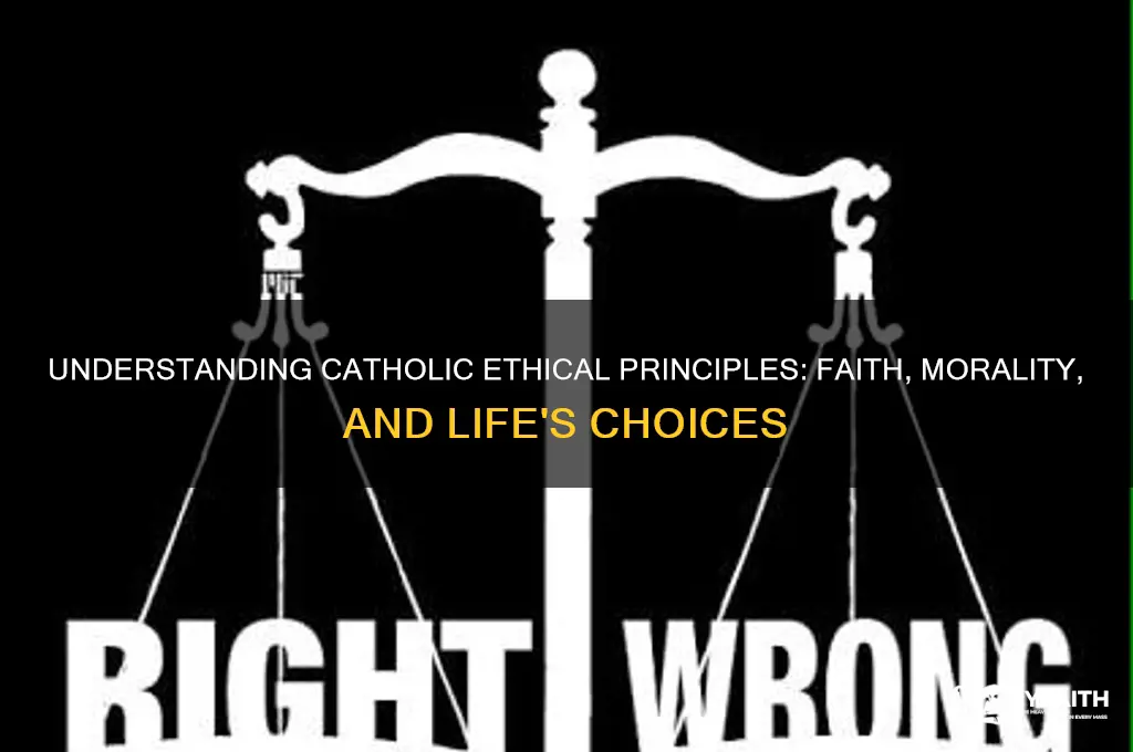 what are catholic ethical principles