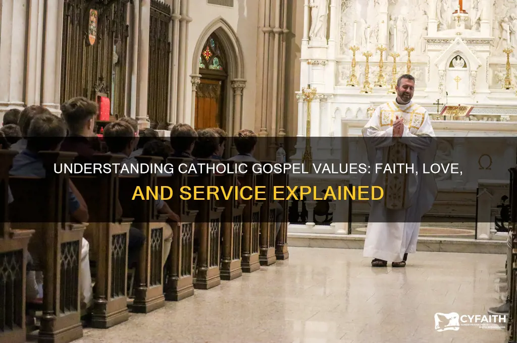 what are catholic gospel values
