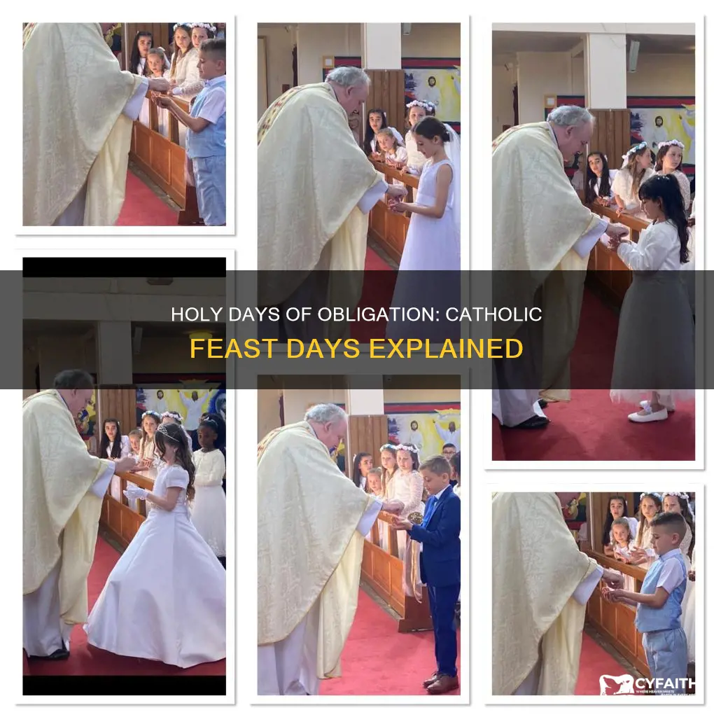 what are catholic holy days of obligation