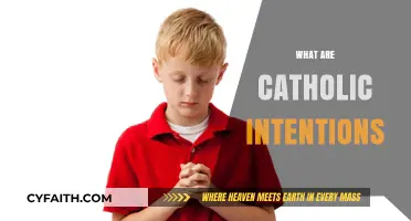 Understanding Catholic Intentions: A Guide to Their Meaning and Practice