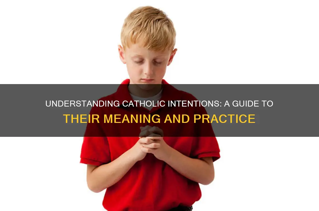 what are catholic intentions