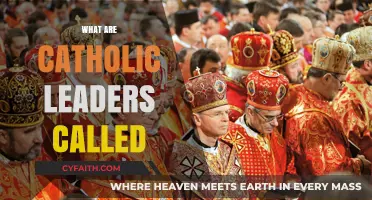 Understanding Catholic Hierarchy: Titles and Roles of Church Leaders