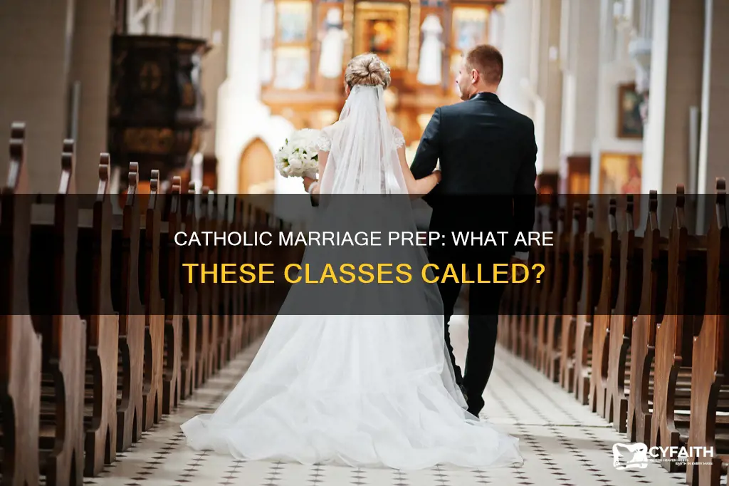 what are catholic marriage classes called