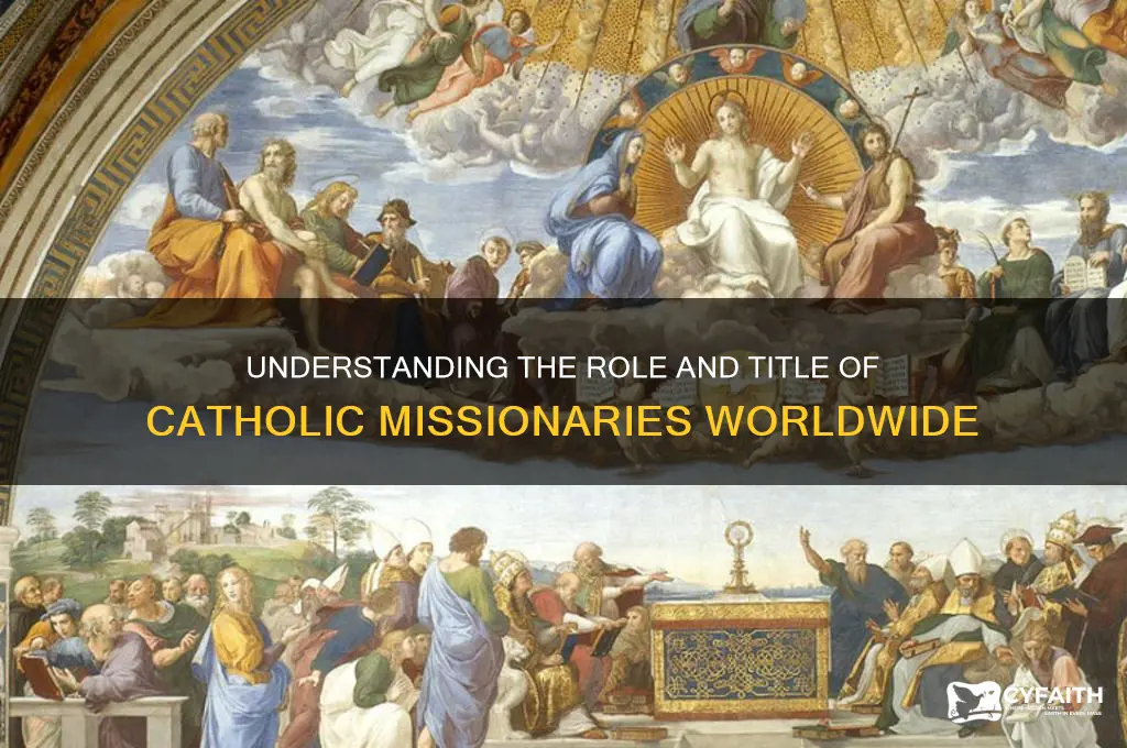 what are catholic missionaries called