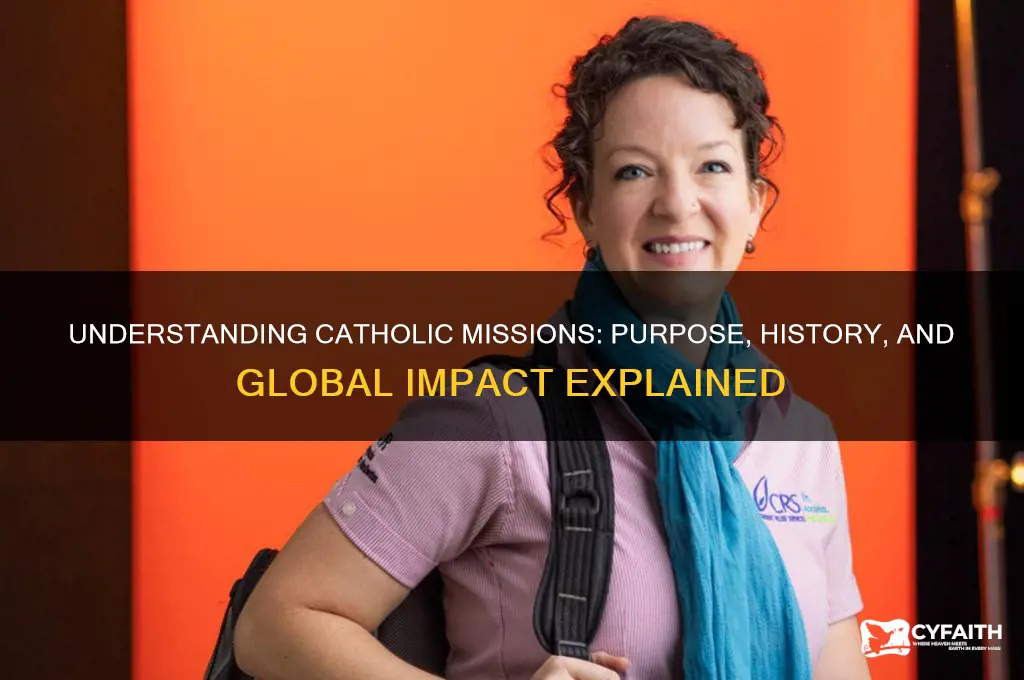 what are catholic missions