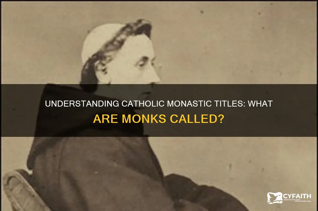 what are catholic monks called