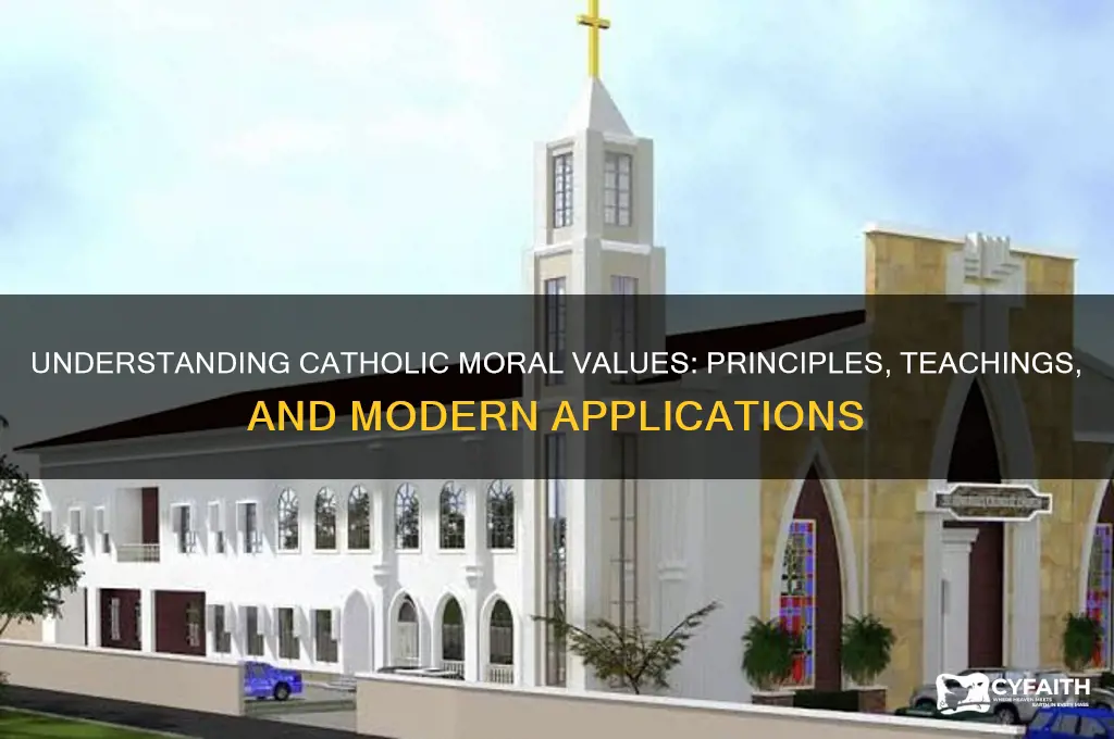 what are catholic moral values