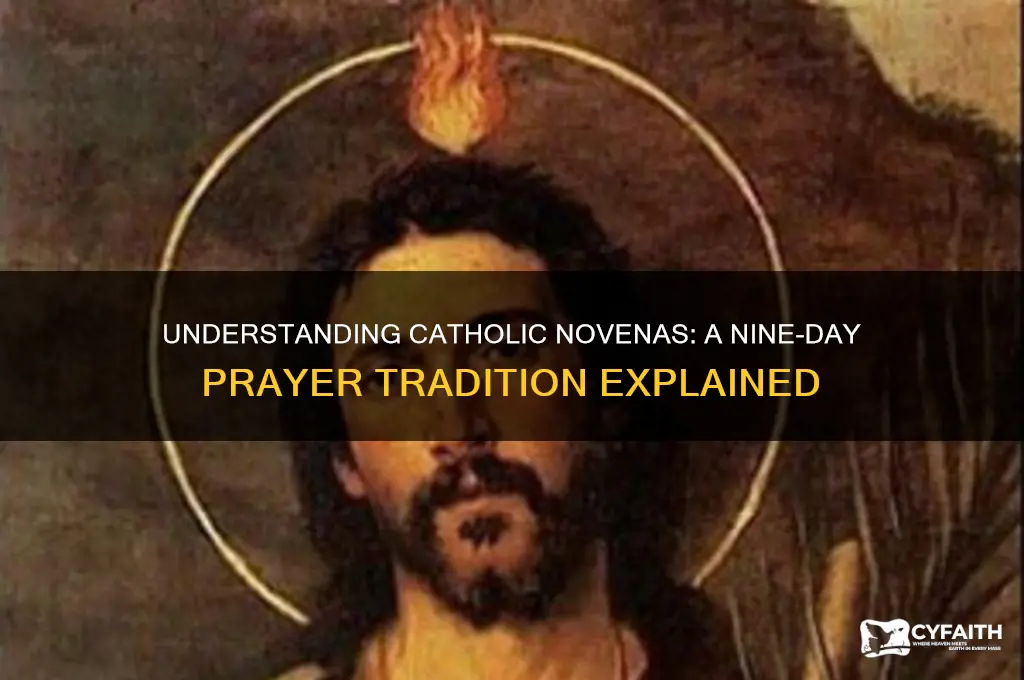 what are catholic novenas