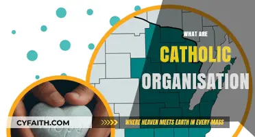 Understanding Catholic Organizations: Their Mission, Structure, and Impact