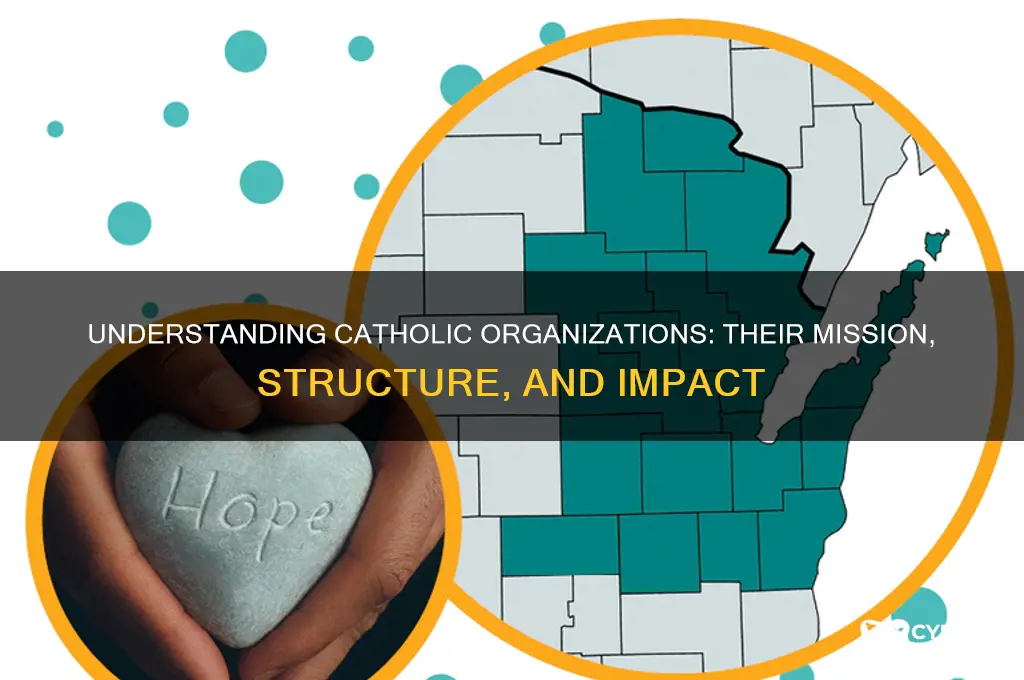 what are catholic organisations