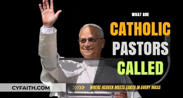 Understanding Catholic Clergy: What Are Catholic Pastors Called?