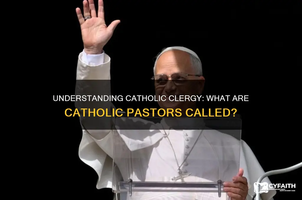 what are catholic pastors called
