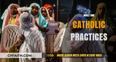 Understanding Catholic Practices: Traditions, Rituals, and Daily Devotions Explained