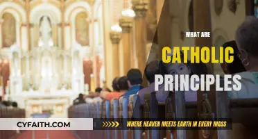 Understanding Catholic Principles: Core Teachings and Values Explained