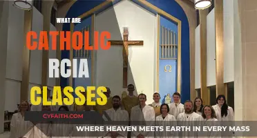 Understanding Catholic RCIA Classes: A Journey of Faith and Formation