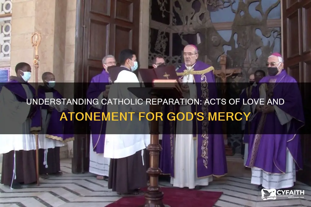 what are catholic reparation