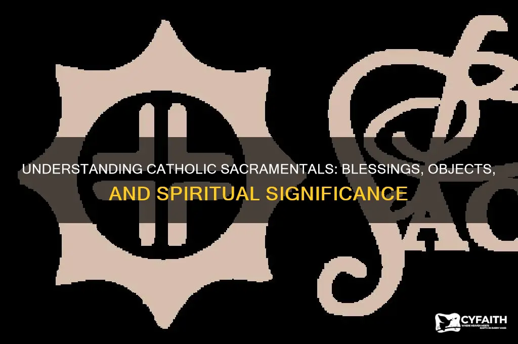what are catholic sacramentals