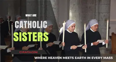 Understanding Catholic Sisters: Their Role, Vocation, and Impact in the Church