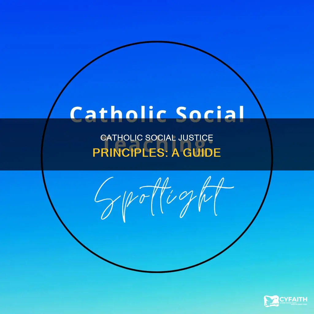 what are catholic social justice principles